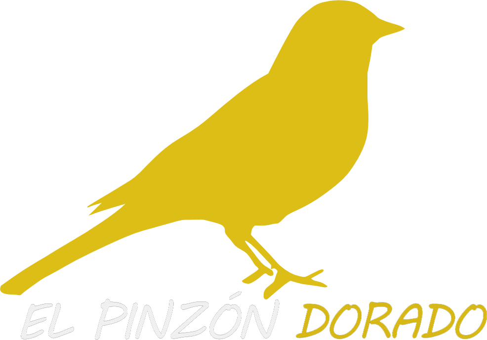 logo de website